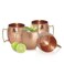 AVS Store Handmade Pure Copper Hammered Moscow Mule Mug (Pack of 4)