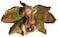 Top Collection Enchanted Story Fairy Garden Sleeping Fairy Baby Outdoor Statue, 3.75 by 5.75-Inch