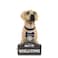 FOCO NFL Seattle Seahawks Yellow Labrador Statue