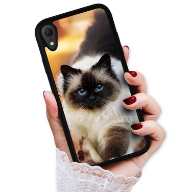 for iPhone XR, Art Design Soft Back Case Phone Cover, HOT12918 Himalayan Cat 12918
