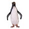 Design Toscano Rockhopper Penguin Statue