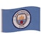 Manchester City FC Flag CC