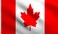 DMSE Canada Canadian Maple Leaf Flag le Drapeau du National 3X5 Ft Foot 100% Polyester 100D Flag Banner UV Resistant (3'X5' Ft Foot)
