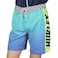 Phantom Fastlane Flashback Boardshorts 18