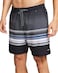 Phantom Spectrum Volley Boardshorts 17