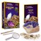 NATIONAL GEOGRAPHIC Gemstone Dig Kit &ndash; Excavate 3 real gems including Amethyst, Tiger&rsquo;s Eye &amp; Rose Quartz - Great STEM Science gift for Mineralogy and Geology enthusiasts of any age