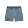 Southern Marsh Dockside Swim Trunks - Lattice, Slate and Mint, Medium