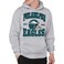 Junk Food Clothing x NFL - Philadelphia Eagles - Team Helmet - Unisex Adult Pullover Fleece Hoodie for Men and Women - Size Medium, Grey