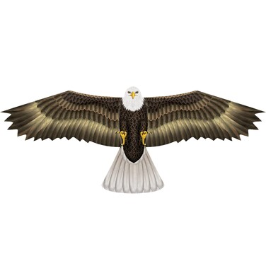 X Kites BirdsOfPrey&reg; Falcon Nylon Bird Kite, 50 Inches Wide