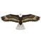 X Kites BirdsOfPrey&reg; Falcon Nylon Bird Kite, 50 Inches Wide