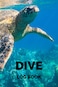DIVE LOGBOOK: Scuba Diving Waterproof Notebook   Scuba Diving Log Book Dive Logbook119 Dives for Training Certification and Fun   Scuba Diving Gift.