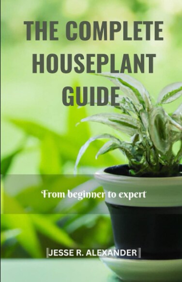 THE COMPLETE HOUSE PLANT GUIDE: From Beginner to Expert