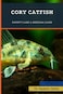 Cory Catfish: Expert's Care &amp; Breeding Guide