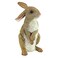 Design Toscano QM200681 Hopper The Bunny Standing Rabbit Outdoor Garden Statue, 6 Inches Wide, 6 Inches Deep, 11 Inches High, Full Color Finish