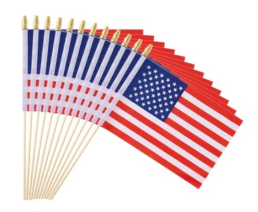 Ckexin 25Pack Small American Flag Mini Usa Flag On Stick Handheld Us Flag For July 4th Decoration
