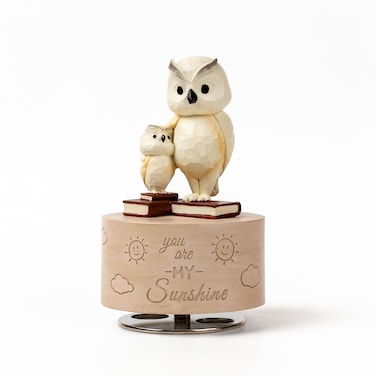 DANVON Owl Music Box Figurine, Sculpted Hand-Painted Musical Figure Gifts, for Birthday Mothers Day Anniversary, Play You are My Sunshine