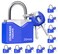 Layssa Padlock (10 Pack) Small Padlock with Key for Luggage Lock, Backpack, Gym Locker Lock, Suitcase Lock, Classroom Matching Game and More, 10 &times; Blue, 20 mm