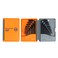 MichaelPro MP001046 Allen Wrench Set Metric and Standard - Short Arm Industrial Grade Hex Key Set with Foldable Organizer in 20 pcs/pack