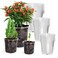 Bluepro 36 Packs 5/4/3.5 Inch Reinforced Clear Nursery Pots with Drainage Hole, Transparent Variety Pack Plastic Plant Pot Seedling Planter Seed Starter Flower