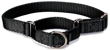 PetSafe Adjustable Martingale Collar - Only Tightens When Dogs Pull, Prevents Slipping Out - Helps with Strong Pullers, Increased Control - Alternative to Choke Collar - 1", Large, Black