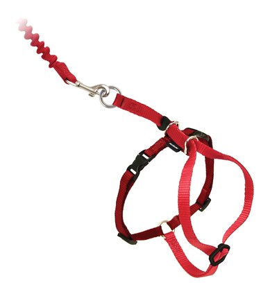 PetSafe Come with Me Kitty Harness and Bungee Leash, Harness for Cats, Small, Red/Cranberry