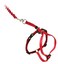 PetSafe Come with Me Kitty Harness and Bungee Leash, Harness for Cats, Small, Red/Cranberry