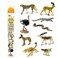 Safari Ltd. Sahara Desert Animals TOOB - 9 Mini Animal Figurines - Educational Toy Set for Boys, Girls and Kids Ages 3+