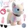 Colorful Walking Cat Set Singing That Purrs and Meows Animated Plush Robot Kitten with Leash Moving Plush Stuffed Animal Remote Control Cute Kawai Robotic Kitty Electronic Kitten Toy for Girl Kid