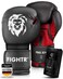 FIGHTR&reg; Boxing Gloves - Maximum Protection &amp; Stability   Boxing Gloves for Boxing, MMA, Muay Thai &amp; Kickboxing   Sizes 8-16 oz, Includes Carry Bag