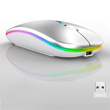 Wireless Bluetooth Mouse,LED Dual Mode Rechargeable Silent Slim Laptop Mouse,Portable(BT5.2+USB Receiver) Dual Mode Computer Mice,for Laptop,Desktop Computer,ipad Tablet,Phone,TV (Sliver White)