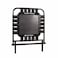 MERRITHEW Cardio-Tramp Rebounder, 24 Inch (V2 Max/Rehab)