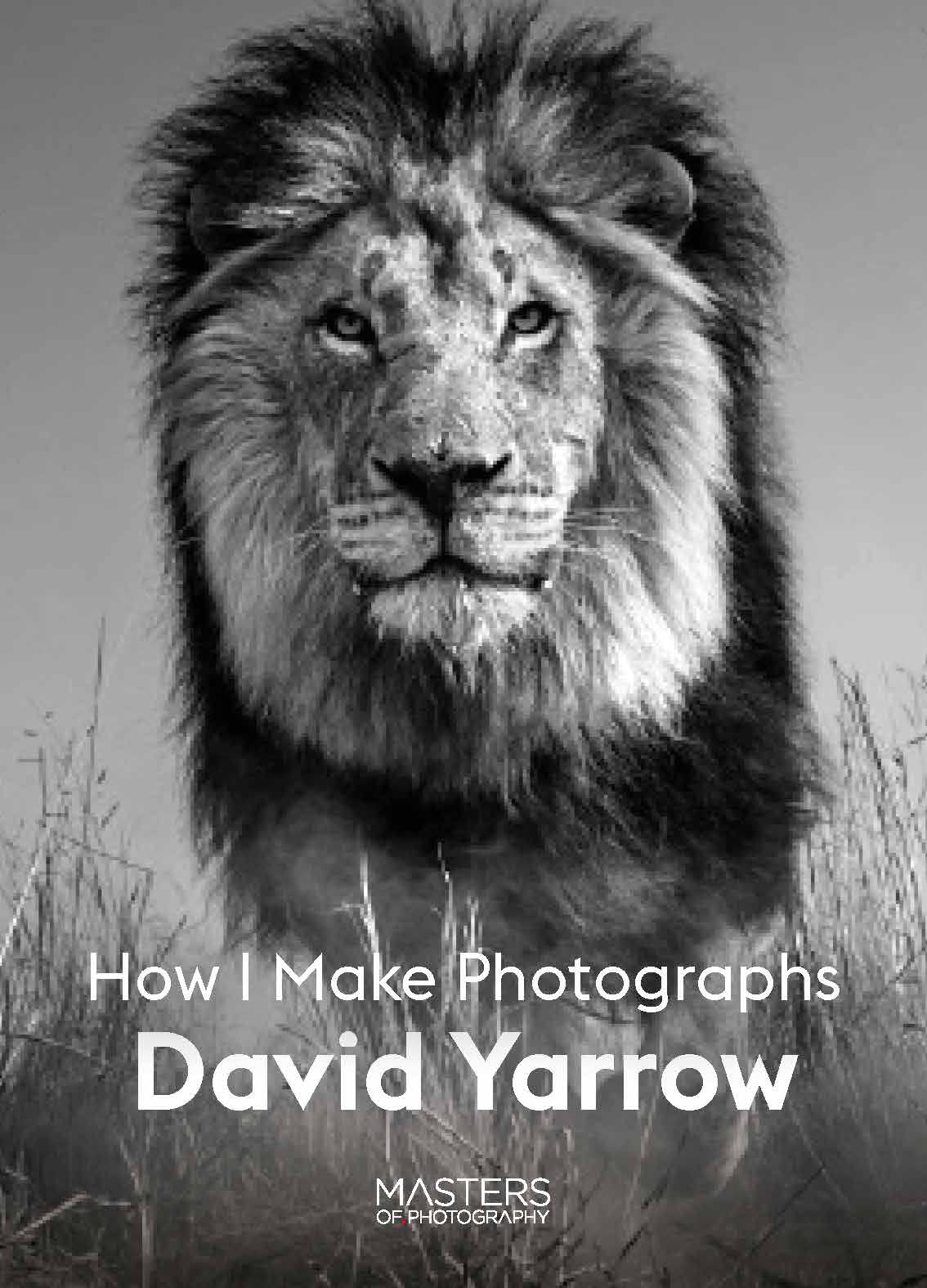 davidyarrow Davidyarrow David Yarrow How I Make Photographs