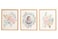 Reece Studio Nursery Wall Art Set Of 3, Floral Baby Picture Frame Set, Modern Nursery D&eacute;cor For Baby Girl, Newborn Baby Photo Frame, Set of 3