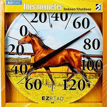 HEADWIND CONSUMER 034018 Ezread Dial Horse Thermometer, 12.5