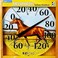 HEADWIND CONSUMER 034018 Ezread Dial Horse Thermometer, 12.5