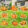 9 Pcs Fall Yard Sign Pumpkin Yard with Stakes, Thanksgiving Pumpkins Lawn Signs Autumn Harvest Garden Signs Outdoor Yard Decorations for Fall Home Patio Lawn Garden Holiday Party Decorations