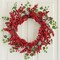 Hometrance Winter Christmas Wreaths for Front Door 20 Inches, Xmas Green Wreath with Pine Cones for Window Outdoor Outside, Artificial Holiday Farmhouse Rustic Wreath for Indoor Decor