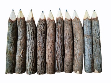 NUTTA - 12 Pencils Graphite Wooden Pencils Rustic Branch &amp; Twig Wood Pencil Home Decoration or Gift Handmade Wooden Craft DIY Decorate Room Decor Party (3.5" Inches)