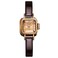 deselon Women Watch for Ladies Female Square Small Slim Light Leather Band Waterproof Fashion Casual Simple Young Girls Gifts Brown Wrist Watches