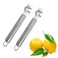 2 Pack Stainless Steel Lemon Zester Grater with Hole Citrus Orange Peeling Tool Fruit Peelers With Specially Designed Channel Knife and Hanging Loop Kitchen Fruit Peeler Tool for Kitchen &amp; Bar