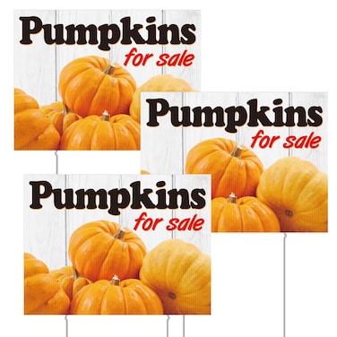 Yalikop 3 Pcs Pumpkins for Sale Yard Sign with Stakes 12 x 16 Inches Double Sided Print Outdoor Yard Signs Fall Yard Sign with Metal Stakes for Outdoor Indoor