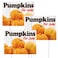 Yalikop 3 Pcs Pumpkins for Sale Yard Sign with Stakes 12 x 16 Inches Double Sided Print Outdoor Yard Signs Fall Yard Sign with Metal Stakes for Outdoor Indoor
