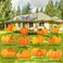 Sintuff 12 Pcs Thanksgiving Yard Sign Pumpkin Yard Stakes Fall Pumpkin Yard Ornament Harvest Garden Signs for Holiday Party Home Farmhouse Pathway Garden Lawn Outdoor Decorations