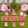 HOBBY HORSE Pink Sweet Happy 16th Birthday Yard Lawn Signs with Stakes Waterproof 16th Birthday Outdoor Lawn Decorations Set with 18 Balloons for Girls Birthday Party Supplies Lawn Decor