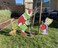 Stealing Christmas Lights Yard Card Sign Whoville - 3 ft Tall Right Facing + Cindy Lou + Max