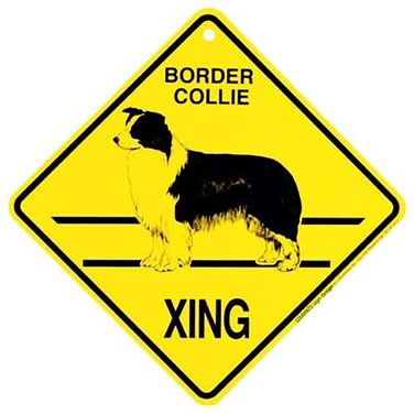 GIMIPATS"BORDER COLLIE XING CROSSING Sign"Fun Tropical Animal Theme Decor,Diamond Shape Aluminum sign, indoor and outdoor metal aluminum "12 x 12", have been punched - easy to install.