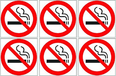 Rogue River Tactical 3" Pack of 6 No Smoking Sticker Sign Decal Indoor Outdoor Window Door Cigarette Smoker (3" 6)