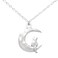 Li-Jacobs Cat on the Moon Necklace: Silver Crescent Charm for Cat Lovers - Gift for Her Birthday, Christmas, Mother's Day, Valentines Day