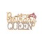 Cute Birthday Queen Brooch Lapel Pins for Women Girls Dainty Pink Clear Rhinestone Crown Brooches Pin for Birthday Party Decorations Suit Dress Ceremony Clothes Accessories Fashion Jewelry Gifts Her