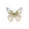 Delicate Butterfly Brooch Pins for Women Girls Gold Plated Rhinestone Crystal CZ Wedding Brooches Shawl Clip Lapel Safety Pin Corsages Bouquet for Hat Bag Suit Tie